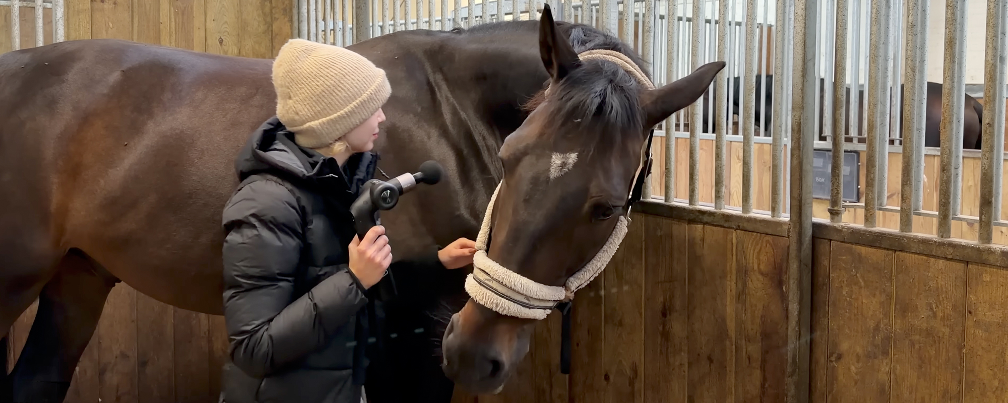 Pistolet do masażu dla koni – jak wspierać regenerację i zdrowie Twojego wierzchowca?